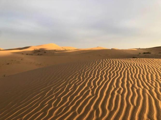 沙漠潜行者安卓版0.17更新：全新剧情等你体验