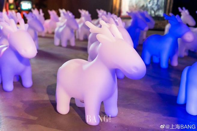 喵喵岛2最新版本来了！超多惊喜等你发现！