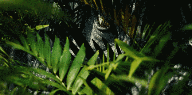 最后的狂潮最新动态：深度解读，为你揭秘事件全貌