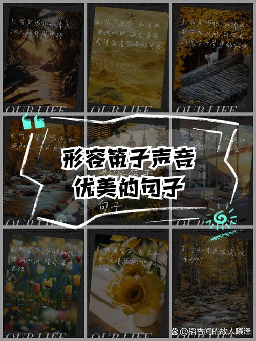 我声音的颜色最新资讯:声音的色彩与情感表达