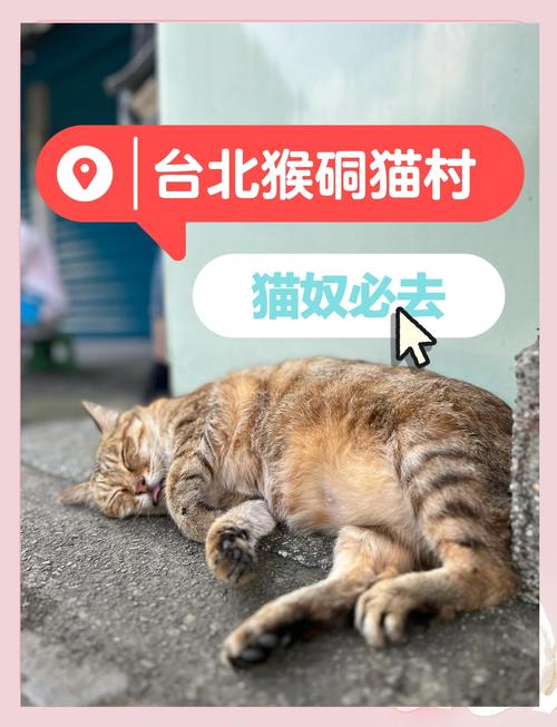 閪遊記更新地址大全！超全资源等你来！