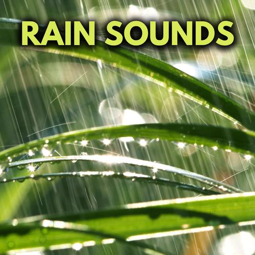 精选Rainnight雨版本大全：3D音效，治愈系雨声，助眠必备！