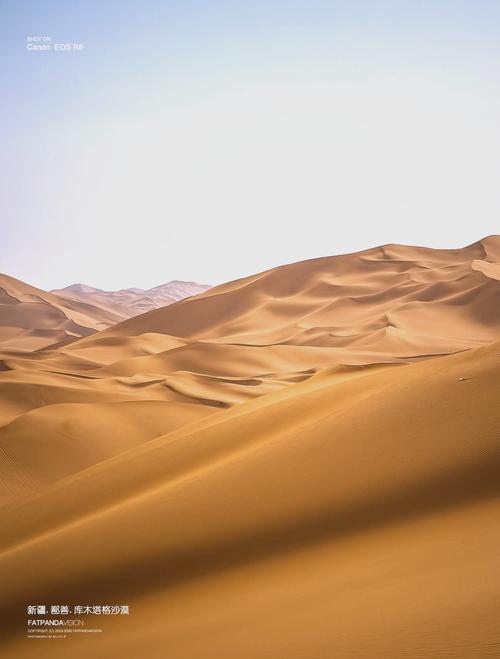 沙漠潜行者安卓版0.17更新：全新剧情等你体验