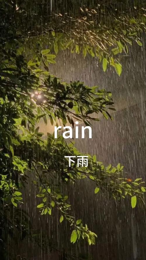 精选Rainnight雨版本大全：3D音效，治愈系雨声，助眠必备！
