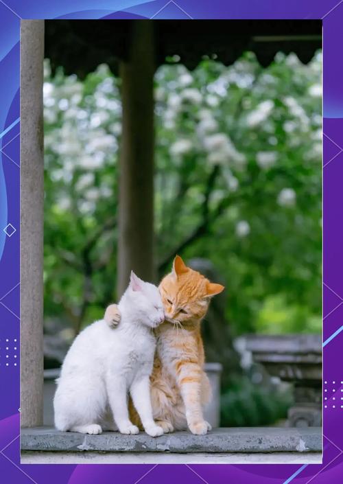 最新灵魂伴侣电视剧推荐，找到你的另一半！