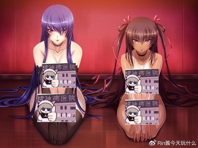 各版本对魔忍雪风大比拼：哪个版本最值得入手？