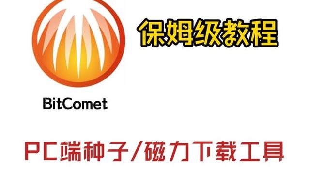 新保姆官方正式版下载最新版：安卓/PC双端资源免费获取