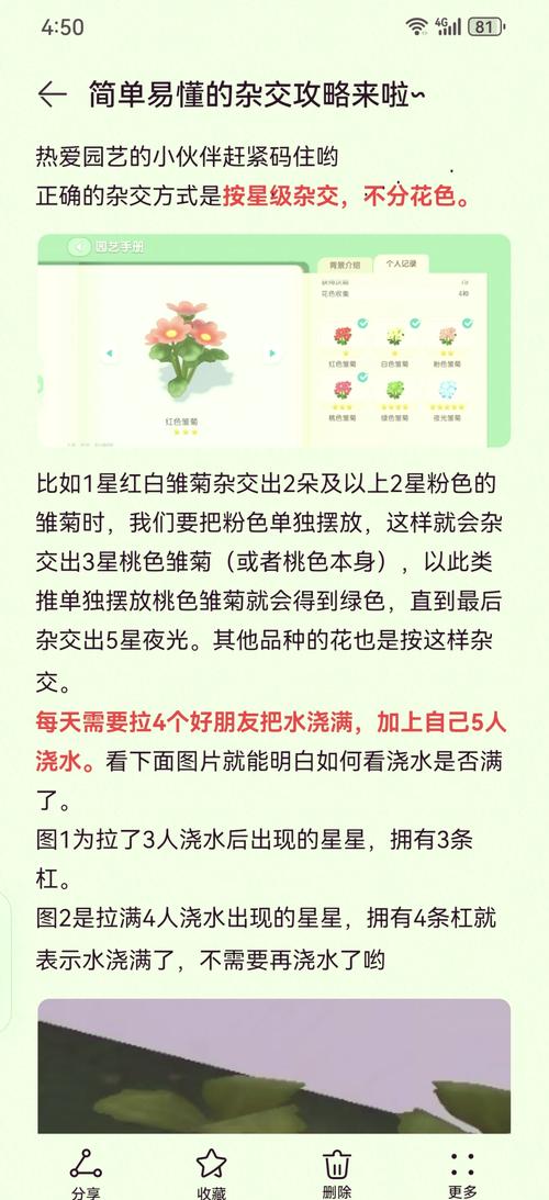 安全可靠的夏色四叶草下载地址,你值得拥有!