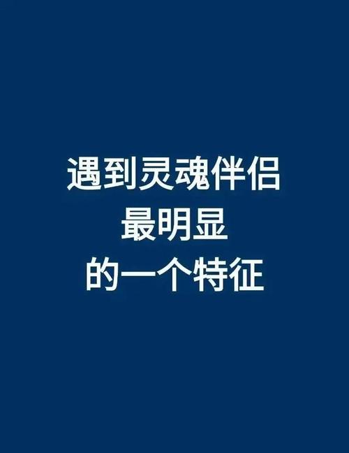 最新灵魂伴侣电视剧推荐，找到你的另一半！