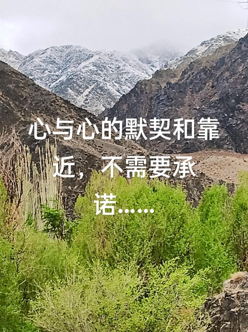 一个最好不要兑现的承诺最新版本:值得一玩吗?