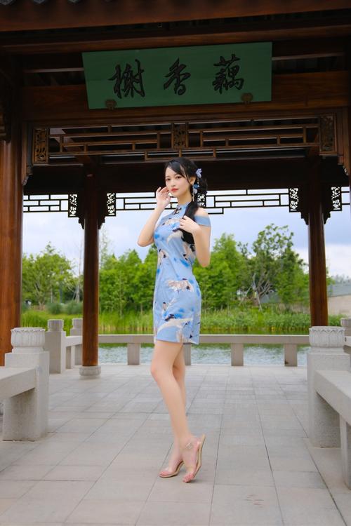 庭树沐年官方正式版下载最新版：快速下载无广告