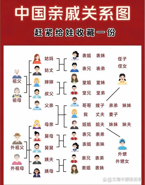 家庭数女在哪下载？几款好用APP推荐