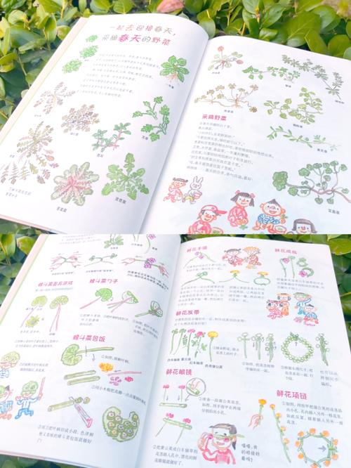 四季游戏：精彩剧情，带你探索四季变化的奥秘