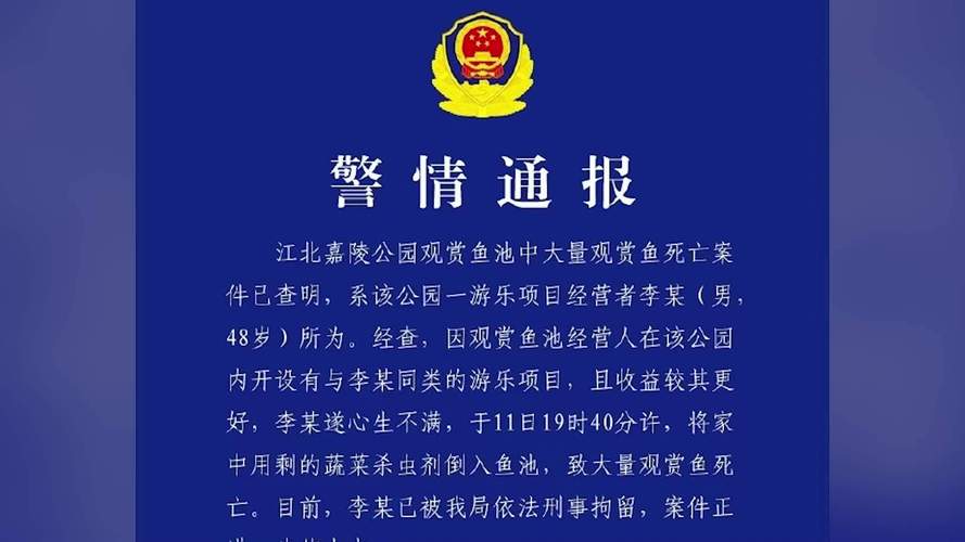 渔网亡灵最新报道:湖中意外事故频发,安全防范刻不容缓
