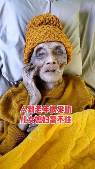 孝顺的妻子游戏攻略详解：新手玩家必看指南