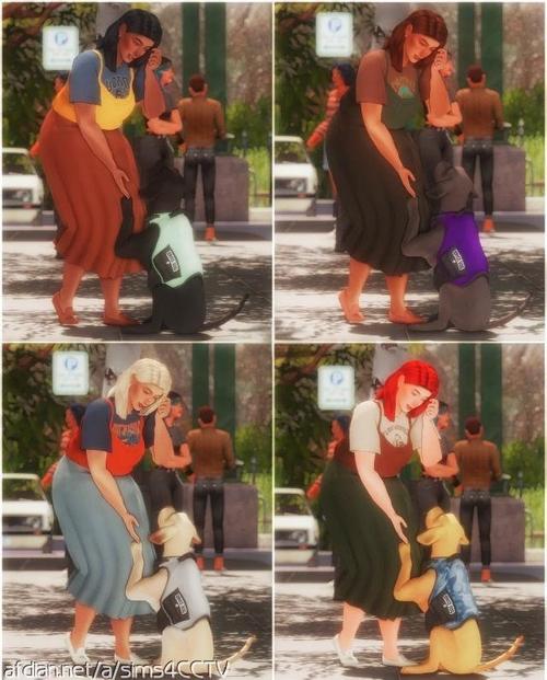 姐破产了最新汉化版:完整剧情等你体验