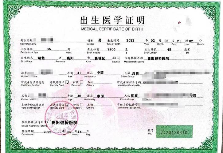 急需出生证明?官方正式版最新版下载方法在这里