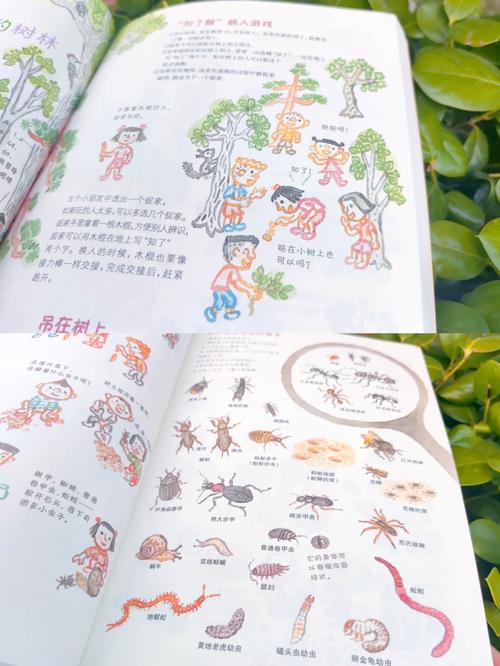 四季游戏：精彩剧情，带你探索四季变化的奥秘