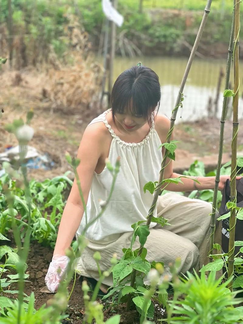 妻子的生活V0.65官网下载：轻松体验游戏乐趣