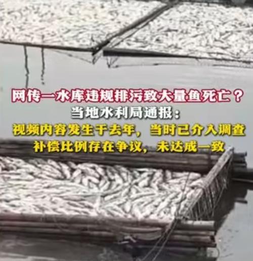 渔网亡灵最新报道:湖中意外事故频发,安全防范刻不容缓