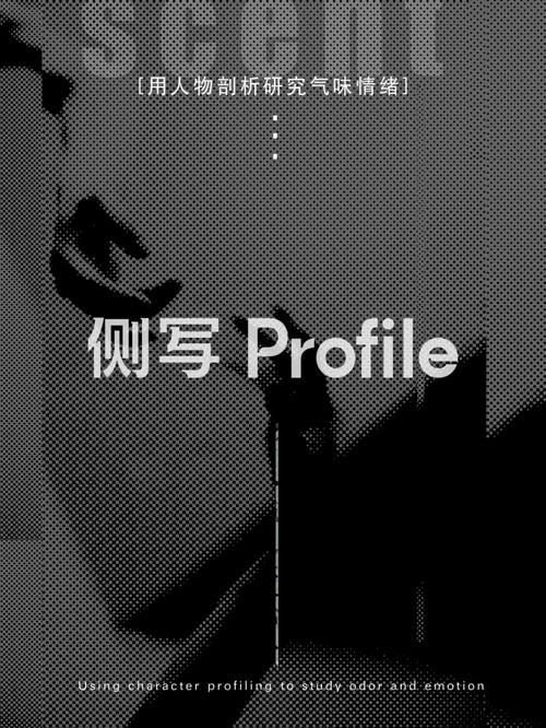 如何下载侧写者?新手玩家下载安装教程及常见问题解答