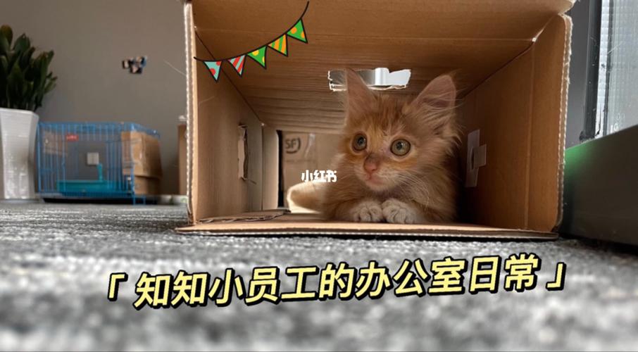 寻找在员工室与JK度过的日常汉化版下载？这里有你想要的资源