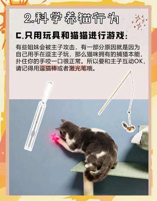 奴隶训练安卓汉化版下载，玩转养成游戏