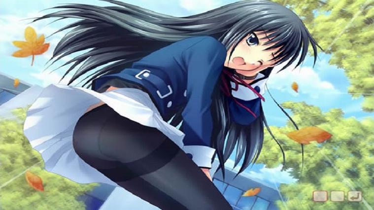 阳光下的真实更新地址大全：不同平台下载方法