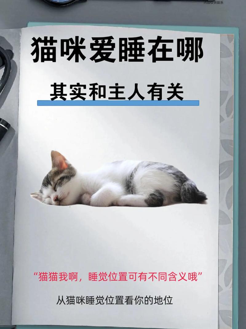当你的猫咪更新地址在哪?最新下载方法分享