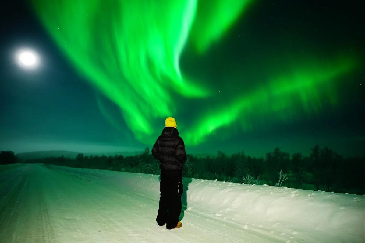 想看北极光？安卓下载就能实现！