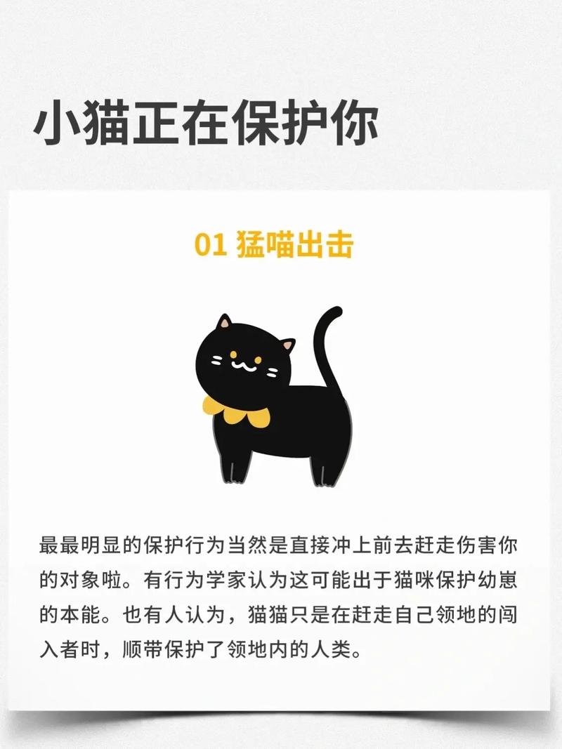当你的猫咪更新地址在哪?最新下载方法分享