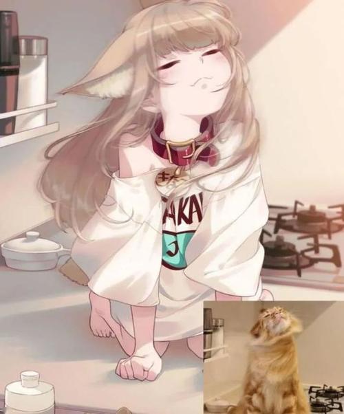捡到千年猫安卓游戏：治愈系猫娘等你来养
