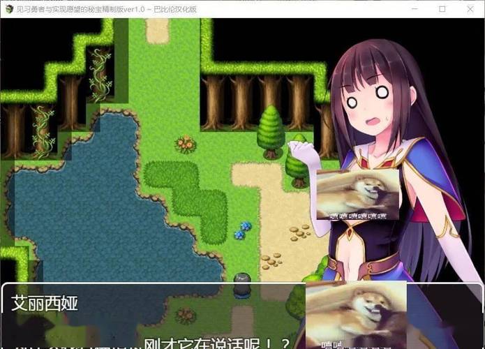 最新新保姆安卓汉化版：PC安卓双平台支持