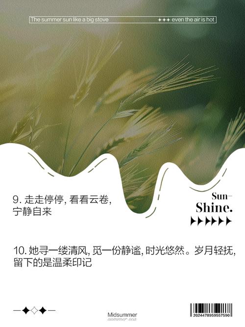 寡妇的偏远客栈官网:远离喧嚣,享受宁静山居时光