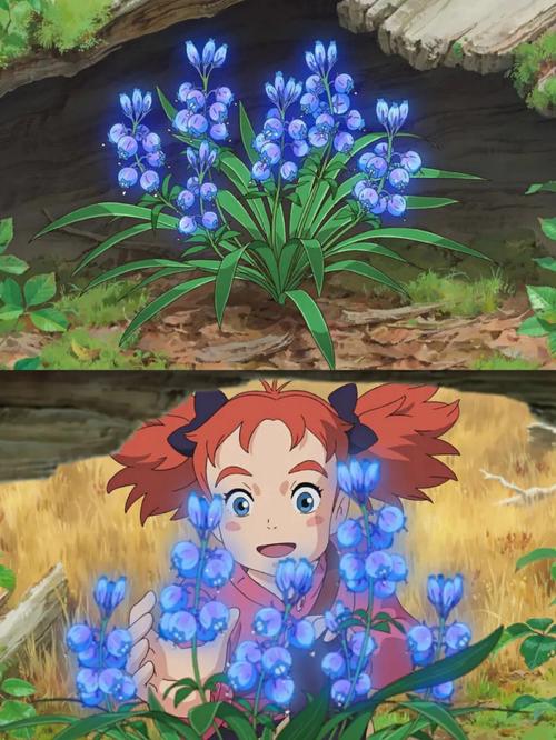 最新花之魔女汉化版下载：沉浸式角色扮演体验