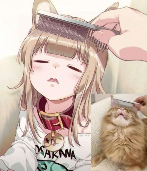 捡到千年猫安卓游戏：治愈系猫娘等你来养