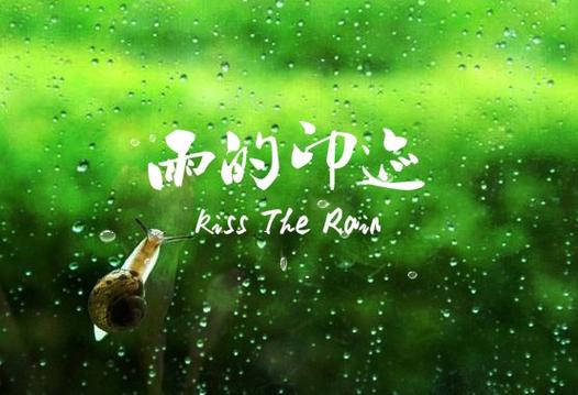 Rainnight雨汉化版下载：超简单获取方法分享