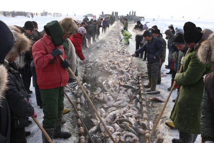 渔网亡灵最新报道:湖中意外事故频发,安全防范刻不容缓