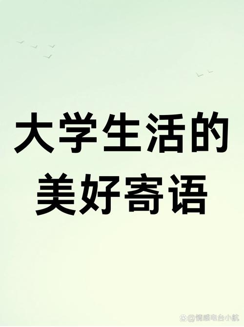 我的大学生活官网：大学生活，精彩瞬间都在这里