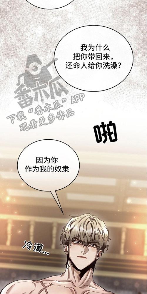 权力的代价安卓汉化:中世纪SLG冒险之旅