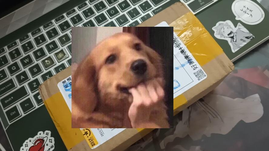 沉浸式体验：欲望理论第三季杨过游戏深度解析与攻略