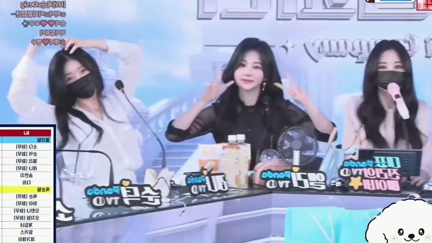 寻找Jinricp:韩国女团绅士游戏资源分享与讨论