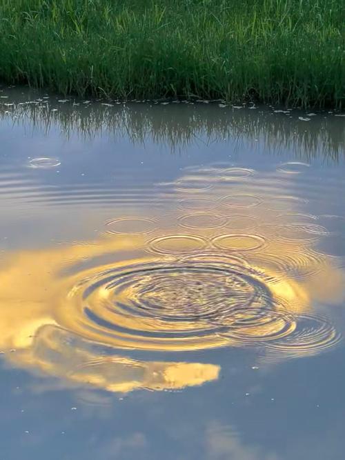 涟漪最新版本有哪些变化?深度解析来了