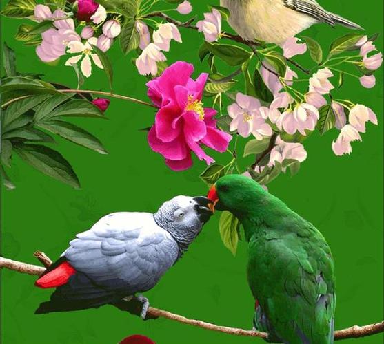 优艳之花下载地址如何下载？新手必看的一步一步攻略！