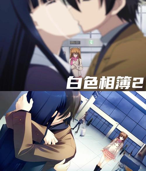 白色相簿合集如何下载最方便？小白也能快速上手的指南！