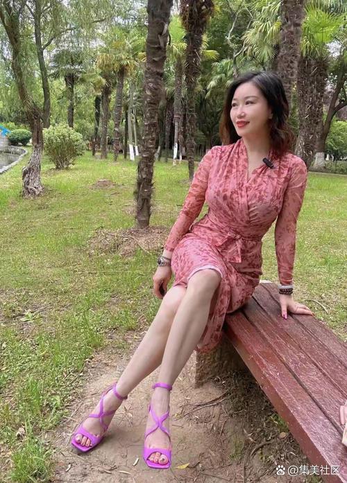 徐娘半老第二季最新评价如何？观众反馈热度解析！