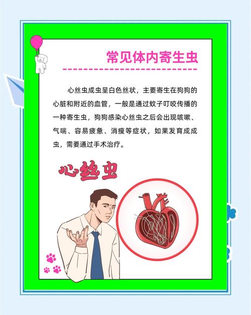 内部寄生虫免费下载：告别付费，轻松拥有！