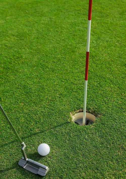 高尔夫是棒球洞的运动游戏攻略怎么玩?5个新手快速上手秘诀�? style=