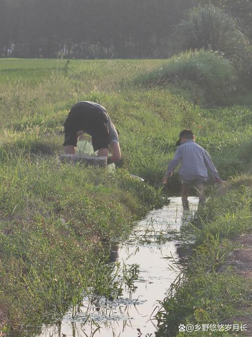 乡村生活的快乐暑假下载地址怎么获取？超简单教程来了！