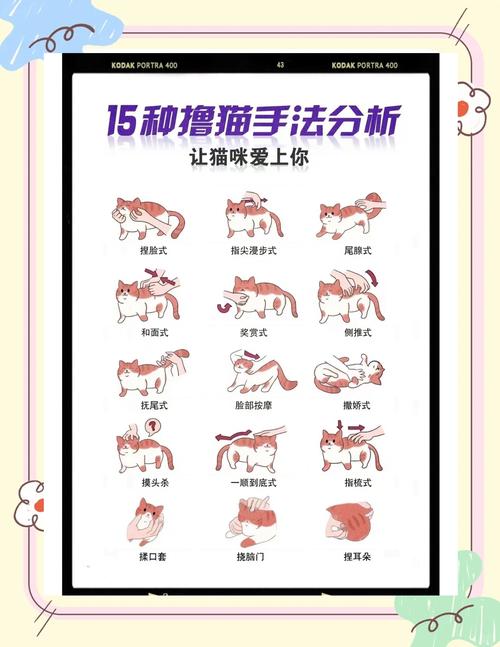 小野猫N上官网怎么操作?新手速学5步简单入门!